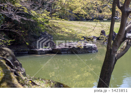 仙洞御所　南池の草紙洗の石 5423851
