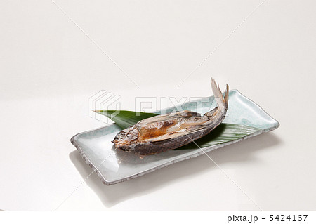 くさや くさや 5424167