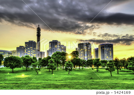 夕暮れの横浜臨港パーク(横浜市西区) 夕暮れの横浜臨港パーク(横浜市西区) 5424169