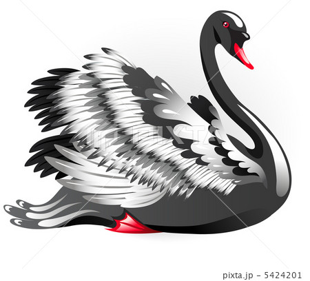 inch Justering Pind Elegant black swanのイラスト素材 [5424201] - PIXTA