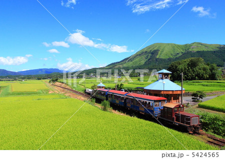 トロッコ列車 阿蘇の山 夏 トロッコ列車 阿蘇の山 夏 5424565