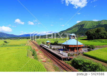 トロッコ列車 阿蘇の山 夏 トロッコ列車 阿蘇の山 夏 5424566