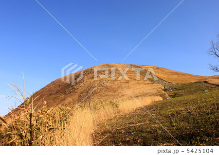 冬の平尾台 5425104