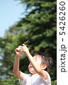 夏休み　男の子　 5426260