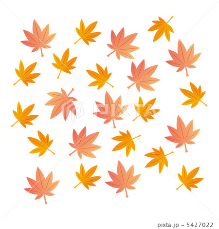 たくさんのモミジ たくさんのモミジ 5427022