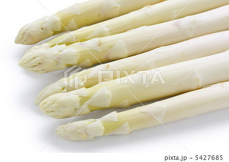 ホワイトアスパラガス 5427685