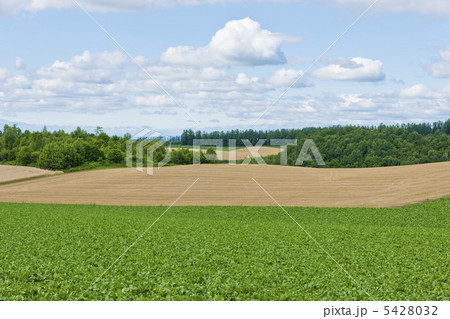 北海道の大自然 5428032