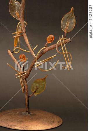 Money Tree 5428287