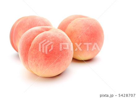 桃 白バック 桃 白バック 5428707