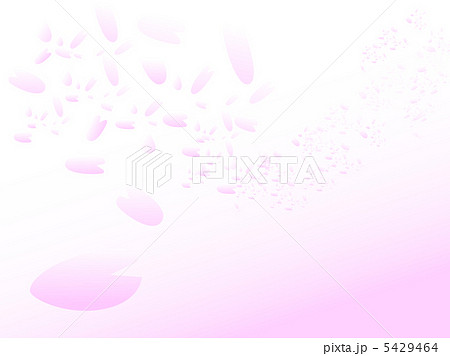 桜 5429464
