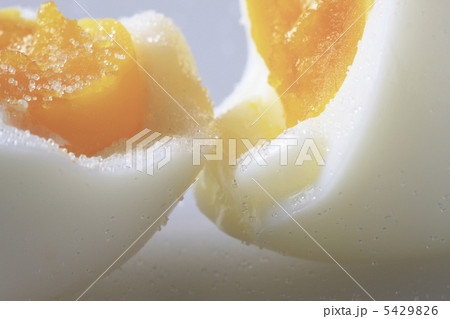 ゆで玉子 5429826