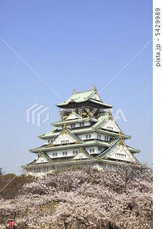 大阪城 5429989