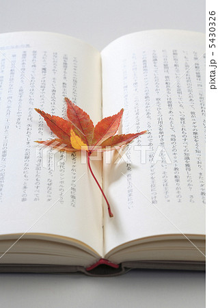 しおり しおり 5430326