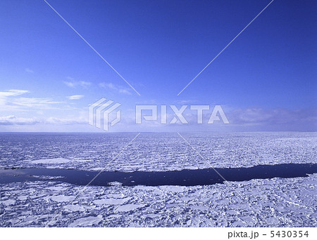 春の流氷原 5430354