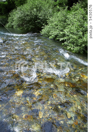 渓流 5430576