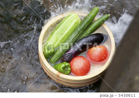 野菜を洗う 5430611
