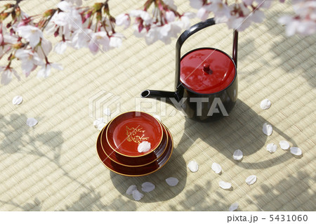 お花見宴会 5431060