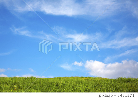 曽爾高原 5431371