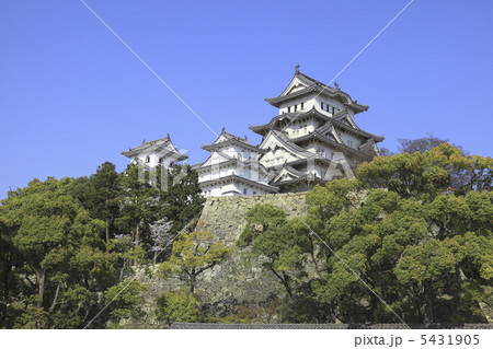 姫路城 姫路城 5431905