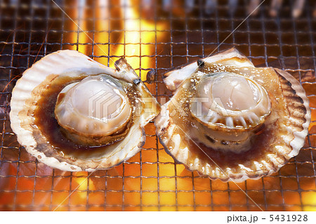 ホタテ貝炭焼き 5431928