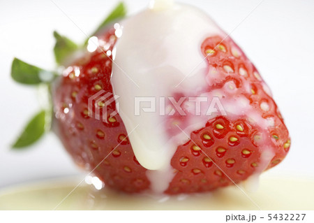 イチゴミルク 5432227