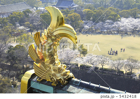 金の鯱 金の鯱 5432418