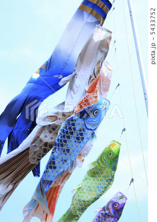 鯉のぼり 5433752