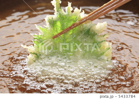 天ぷら 天ぷら 5433784