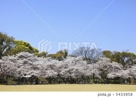 西の丸庭園 5433958