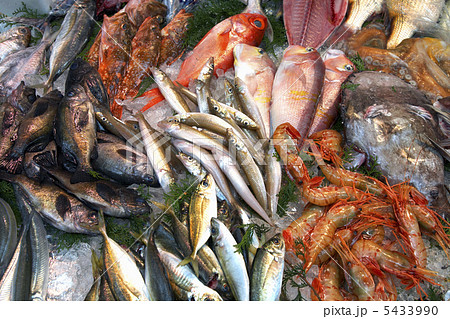 魚屋の店先 5433990