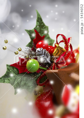 クリスマスケーキ 5434052