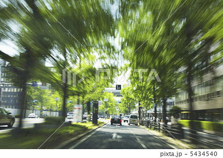 新緑の御堂筋 5434540