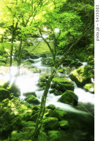 赤目四十八滝渓谷 赤目四十八滝渓谷 5435083