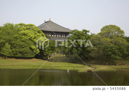 大仏池と東大寺 5435086