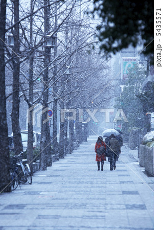 雪の大阪御堂筋 5435571