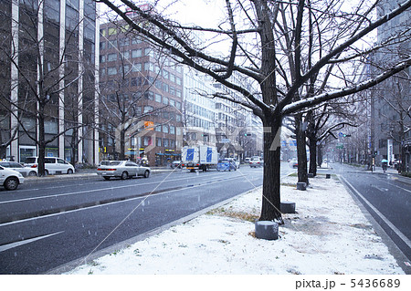 雪の大阪御堂筋 5436689