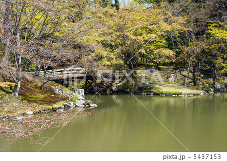 仙洞御所　南池の紅葉橋と出島 5437153