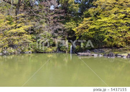 仙洞御所　南池の雄滝 5437155