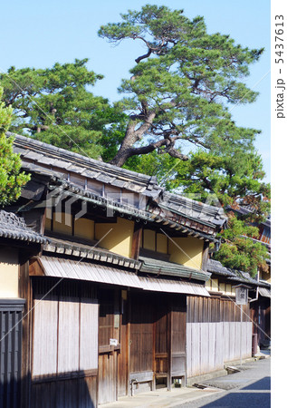 ウダツと見越の松 5437613