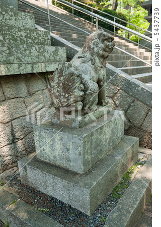 阿智神社　厄除段の狛犬 5437739