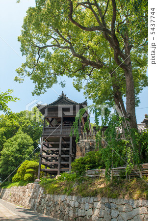 阿智神社　高灯籠 5437744