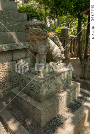 阿智神社 厄除段の狛犬の写真素材