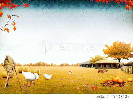 cep_yy_1434717 5438185