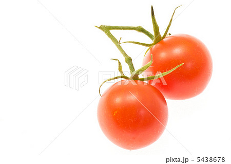 ミニトマト ミニトマト 5438678