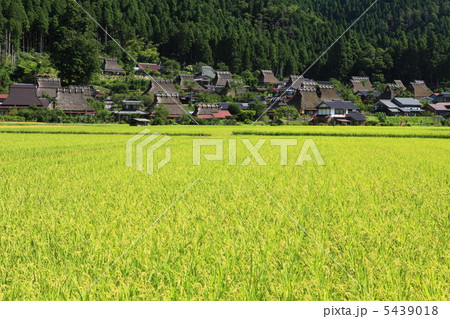 かやぶきの里美山 5439018