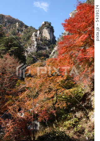 昇仙峡　紅葉 5439174