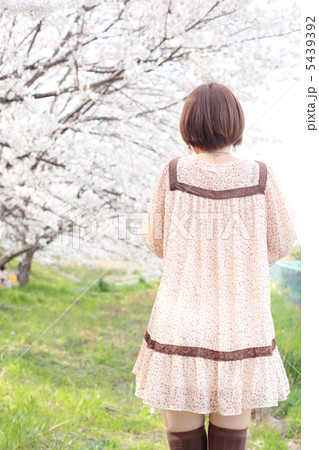 さくら 5439392