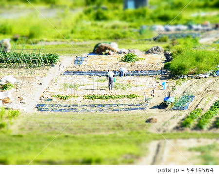 農作業 農作業 5439564
