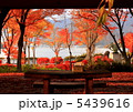 秋盛 5439616