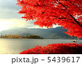 湖畔紅葉 5439617